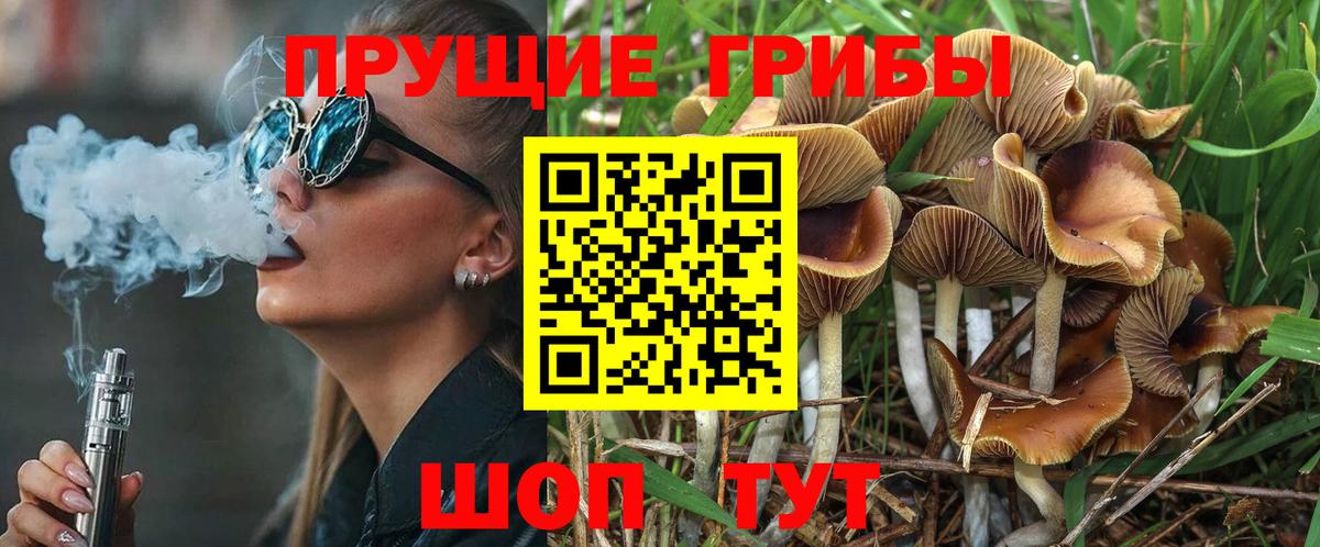 Галлюциногенные грибы Cubensis Чебаркуль