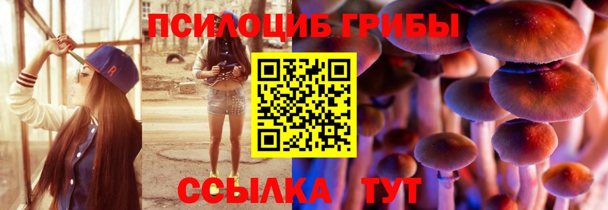 Чебаркуль  Псилоцибиновые грибы прущие грибы  Вход с VPN 